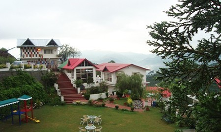 maple resort chail